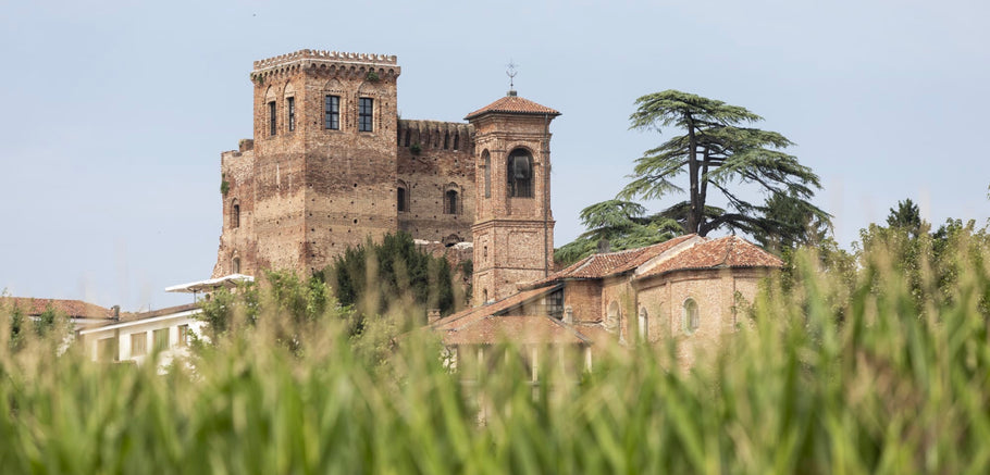 DETOX RETREAT ALLA ROCCA DI ARIGNANO